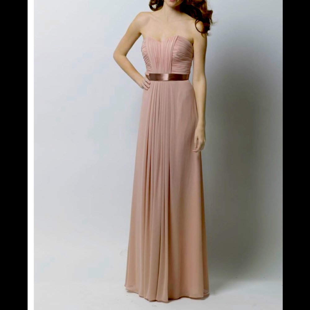WTOO Watters Blush Crinkle Chiffon Dress.